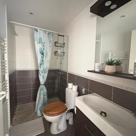 Magnifique T3 à 20 M De La Centre Appartement *